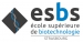 Logo École Supérieure de Biotechnologie de Strasbourg (ESBS)